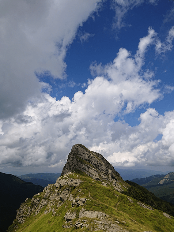 Monte Scala