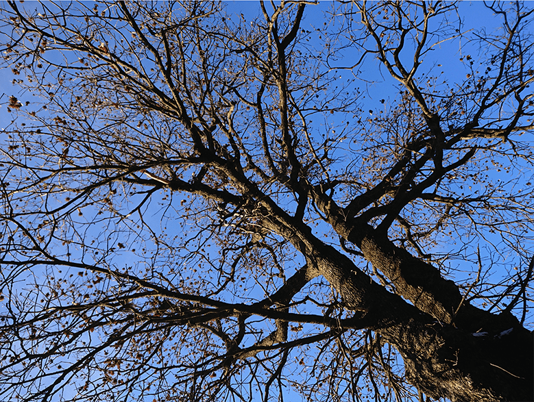Educazione Salute Libertà