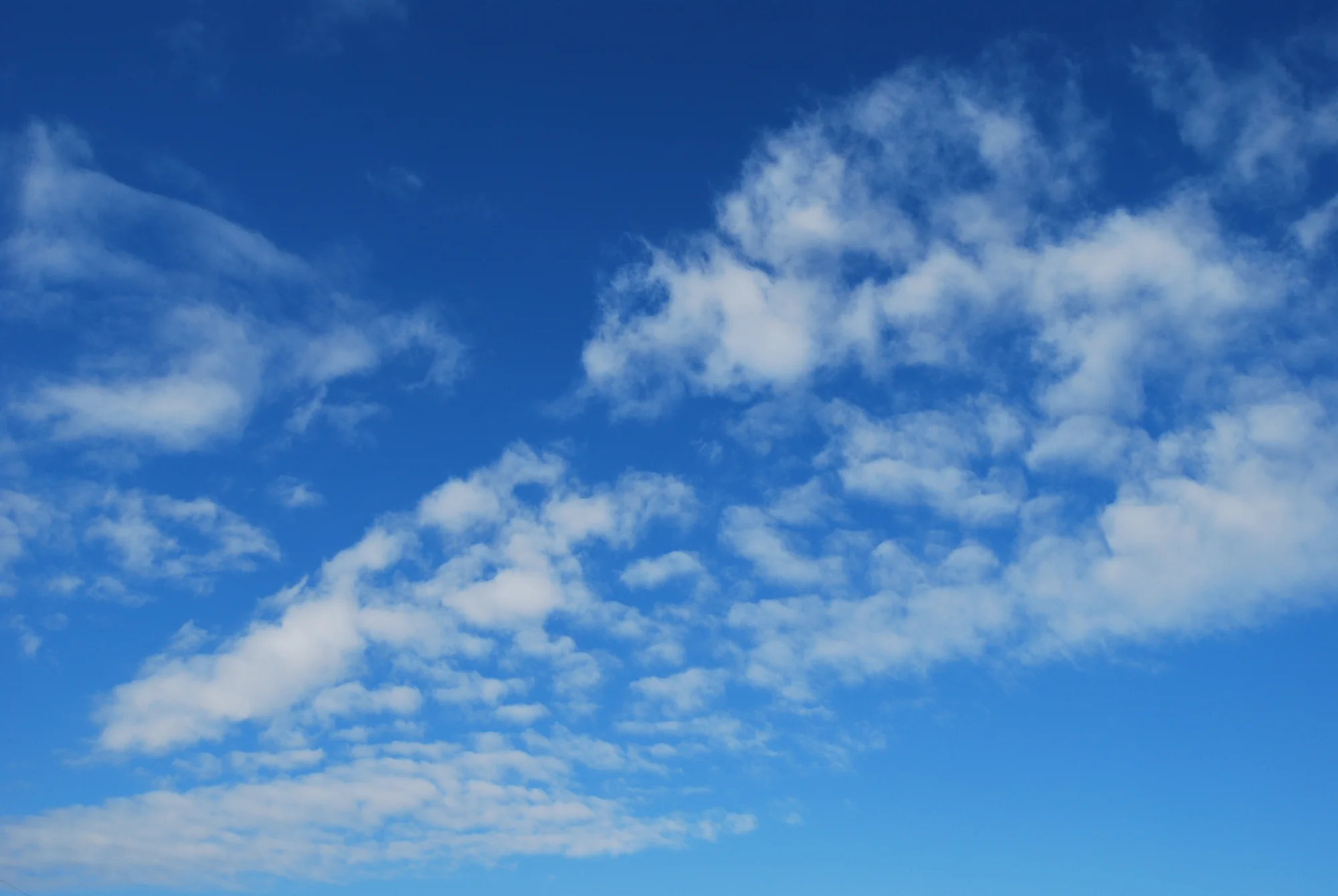 Medicina Integrata: Prevenzione e Cura con Fitoterapia Clinica ed Agopuntura.