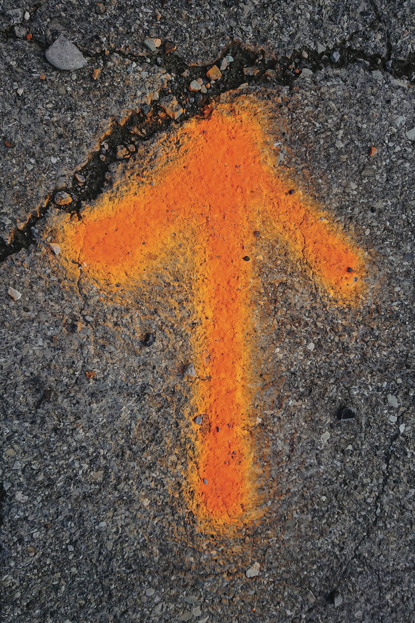 Essere un “Buon” Medico